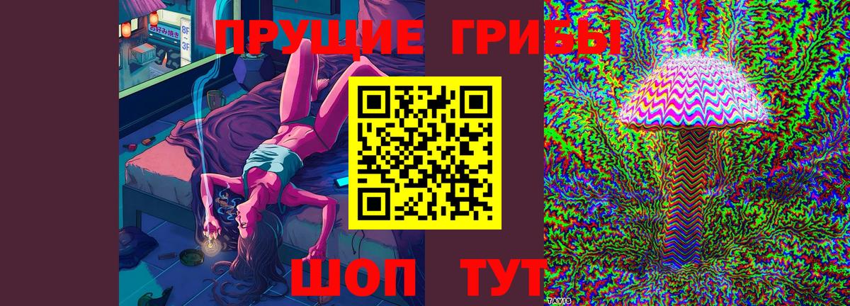 Галлюциногенные грибы прущие грибы Заречный