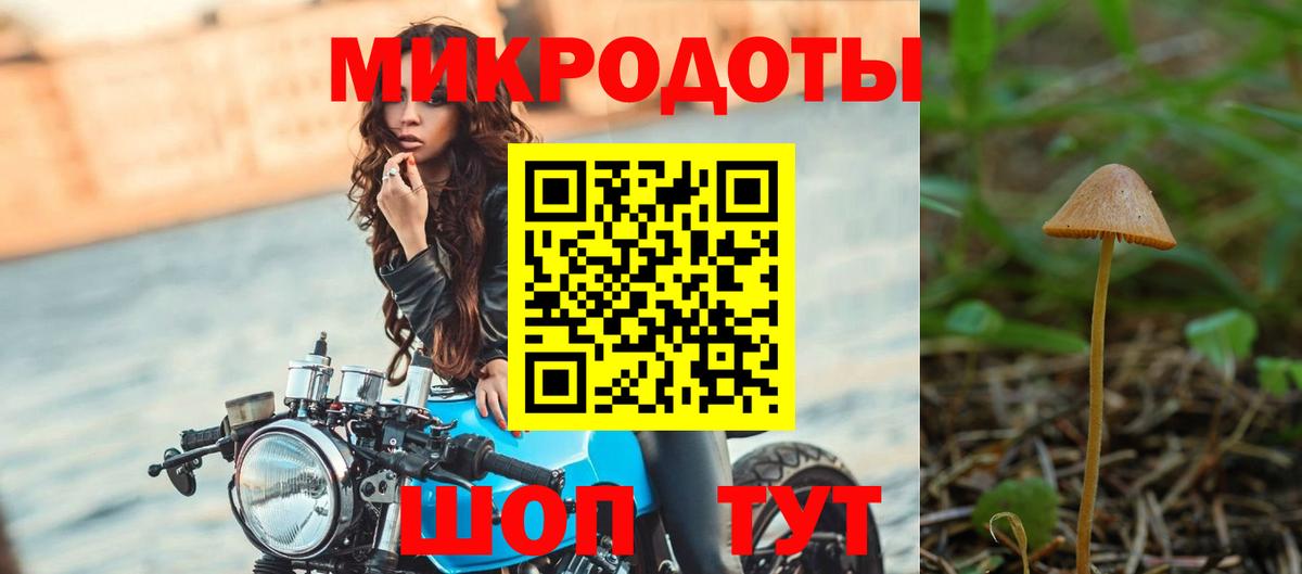 Лсд 25 Заречный